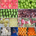 Exportation de fruits